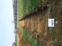 Thumbnail of Photo 1010900 View of Trench 1017