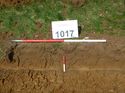 Thumbnail of Photo 1010902 Representational Section of Trench 1017