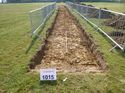 Thumbnail of Photo 1010905 View of Trench 1015