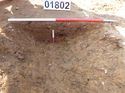 Thumbnail of Photo 1010909 View of ditch 101802 in Trench 1018