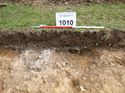 Thumbnail of Photo 1010918 Representational Section of Trench 1010