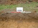 Thumbnail of Photo 1010934 Representational Section of Trench 1020