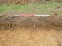 Thumbnail of Photo 1010935 Representational Section of Trench 1020