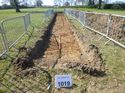 Thumbnail of Photo 1010938 View of Trench 1019