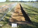 Thumbnail of Photo 1010940 View of Trench 1019