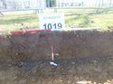 Thumbnail of Photo 1010942 Representational Section of Trench 1019