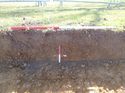 Thumbnail of Photo 1010943 Representational Section of Trench 1019