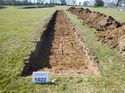 Thumbnail of Photo 1010944 View of Trench 1022