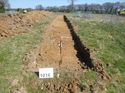 Thumbnail of Photo 1010953 View of Trench 1016