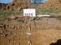 Thumbnail of Photo 1010955 View of Trench 1016