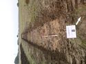 Thumbnail of Photo 1010154 southwest overview of trench 10 taken at Hunts Green Farm