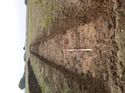 Thumbnail of Photo 1010155 southwest overview of trench 11 taken at Hunts Green Farm