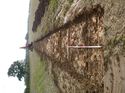 Thumbnail of Photo 1010161 southwest overview of trench 19 taken at Hunts Green Farm