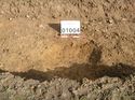 Thumbnail of Photo 1010175 northeast facing section of furrow [901904] taken at Hunts Green Farm