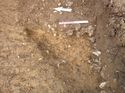 Thumbnail of Photo 1010179 northeast facing section of pit [900907] taken at Hunts Green Farm