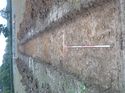 Thumbnail of Photo 1010187 southeast facing overview of trench 20 taken at Hunts Green Farm