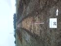 Thumbnail of Photo 1010188 southeast facing overview of trench 20 taken at Hunts Green Farm