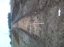 Thumbnail of Photo 1010189 southwest facing overview of trench 13 taken at Hunts Green Farm