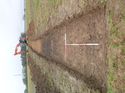 Thumbnail of Photo 1010192 northeast facing overview of trench 13 taken at Hunts Green Farm
