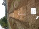 Thumbnail of Photo 1010193 northeast facing overview of trench 13 taken at Hunts Green Farm