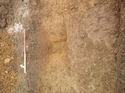 Thumbnail of Photo 1010203 southeast facing section of ditch [902002] taken at Hunts Green Farm
