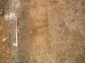 Thumbnail of Photo 1010204 southeast facing section of ditch [902002] taken at Hunts Green Farm