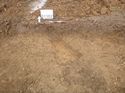 Thumbnail of Photo 1010209 south facing section of gully [901302] taken at Hunts Green Farm