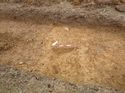 Thumbnail of Photo 1010220 northwest facing section of gully [902005] taken at Hunts Green Farm