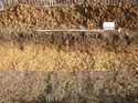Thumbnail of Photo 1010224 northeast view of ditch [900804] taken at Hunts Green Farm
