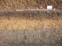 Thumbnail of Photo 1010227 northeast view of ditch [900804] taken at Hunts Green Farm