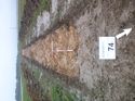 Thumbnail of Photo 1010246 south overview of trench 74 taken at Hunts Green Farm