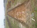 Thumbnail of Photo 1010252 north overview of trench 76 taken at Hunts Green Farm