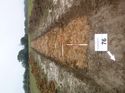 Thumbnail of Photo 1010253 south overview of trench 76 taken at Hunts Green Farm
