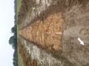 Thumbnail of Photo 1010254 south overview of trench 76 taken at Hunts Green Farm