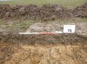 Thumbnail of Photo 1010255 east facing representative section of trench 76 taken at Hunts Green Farm