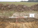 Thumbnail of Photo 1010257 east facing representative section of trench 76 taken at Hunts Green Farm
