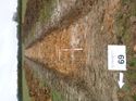 Thumbnail of Photo 1010264 east overview of trench 69 taken at Hunts Green Farm