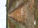 Thumbnail of Photo 1010265 east overview of trench 69 taken at Hunts Green Farm