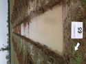 Thumbnail of Photo 1010275 southwest view of trench 65 taken at Hunts Green Farm