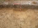 Thumbnail of Photo 1010281 south facing section of ditch [906904] taken at Hunts Green Farm