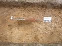 Thumbnail of Photo 1010284 south facing section of ditch [906904] taken at Hunts Green Farm