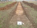 Thumbnail of Photo 1010288 northeast view of trench 61 taken at Hunts Green Farm