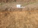 Thumbnail of Photo 1010290 southeast facing representative section of trench 64 taken at Hunts Green Farm
