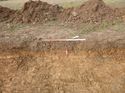 Thumbnail of Photo 1010293 northeast facing representative section of trench 60 taken at hunts Green Farm