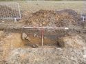 Thumbnail of Photo 1010297 west facing section of ditch [901507] taken at Hunts Green Farm