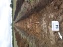 Thumbnail of Photo 1010300 southeast view of trench 59 taken at Hunts Green Farm