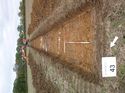 Thumbnail of Photo 1010319 northeast view of trench 43 taken at Hunts Green Farm