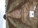 Thumbnail of Photo 1010321 southwest view of trench 43 taken at Hunts Green Farm
