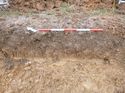 Thumbnail of Photo 1010341 east facing representative section of trench 54 taken at Hunts Green Farm