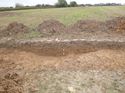 Thumbnail of Photo 1010346 north facing section of ditch [906506] taken at Hunts Green Farm